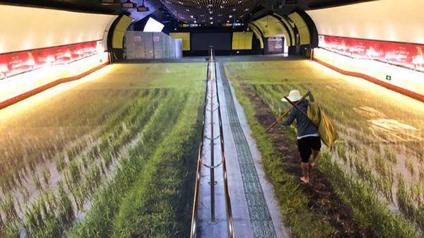 這些戶外廣告的創(chuàng)意你喜好嗎？15