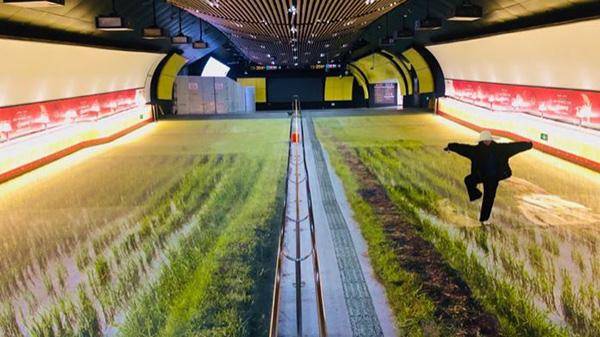 這些戶外廣告的創(chuàng)意你喜好嗎？16