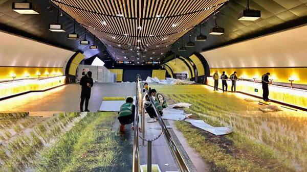 這些戶外廣告的創(chuàng)意你喜好嗎？17