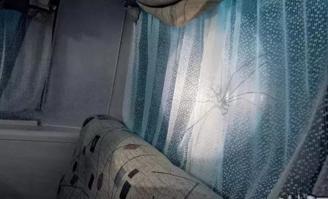 最果的戶外廣告！創(chuàng)意是靈魂35