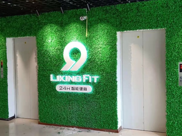 樹(shù)脂發(fā)光字