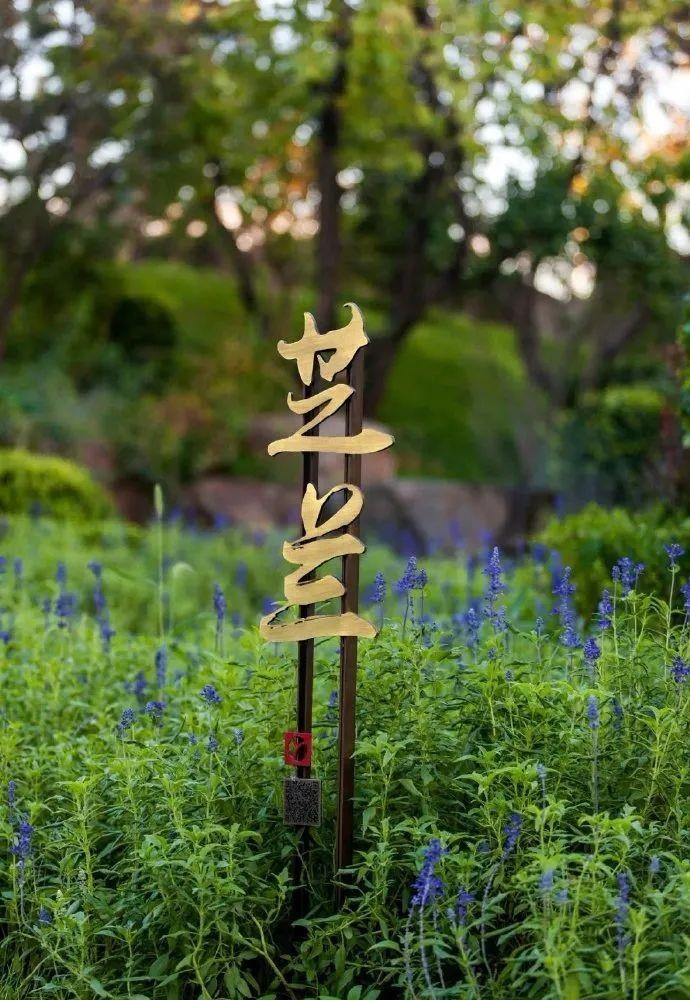 中國風標志標牌事例共享，美15