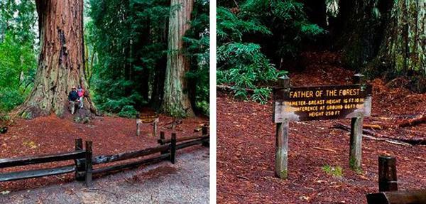 “旅游化”的LOGO系統(tǒng)，讓標識牌成為景區(qū)里的獨特景致11