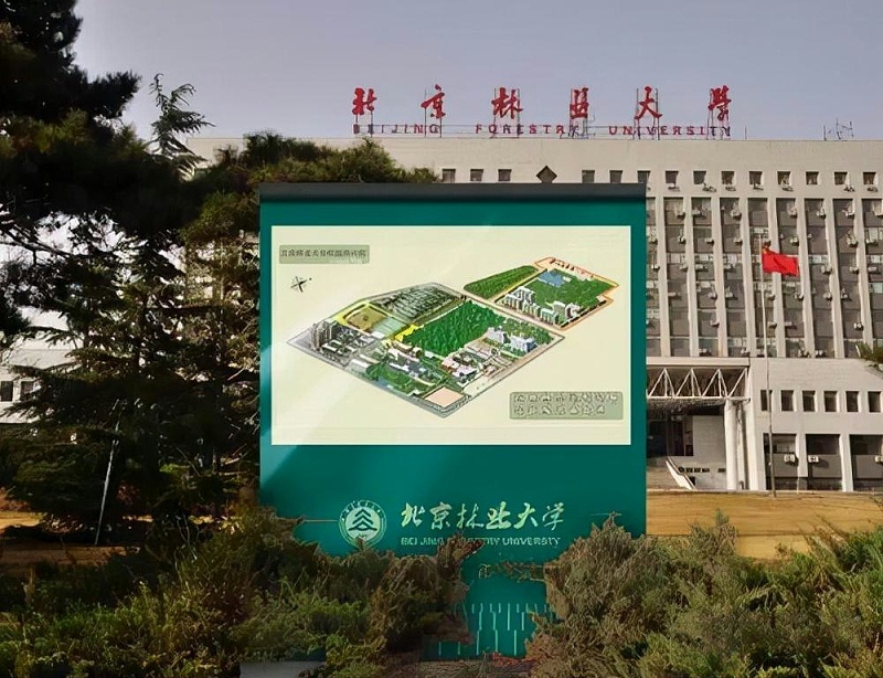 “為人而生”的城市導(dǎo)向LOGO策劃